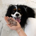 5904266540612_Paka_Zwierzaka_przysmak-liofilizowany-samo-miesko-cielecina-70g-www.MERDAKI.pl_3.jpg