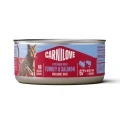 8595602582891_104101392_CARNILOVE_Cat_CAN_Pate_Turkey_Salmon_www.MERDAKI.pl_1.jpg