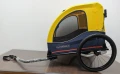 2416 cABBY l (14).jpg
