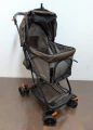 2477 Buggy (2).jpg