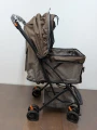 2477 Buggy (3).jpg