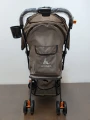 2477 Buggy (4).jpg