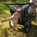 4262379091638-LA384898-Nomad-Tales-Spirit-Przyczepka-Rowerowa-jogger-www.MERDAKI.pl-3.jpg