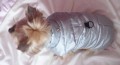 Ręcznie robiona kurtka sportowa www.swiatshihtzu.pl 14.JPG
