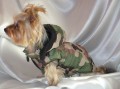 Ręcznie robiona kurtka sportowa www.swiatshihtzu.pl 1.jpg
