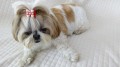IMG_20170909_133241.jpg