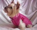 Ręcznie robiona kurtka sportowa www.swiatshihtzu.pl 19.JPG