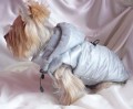 Ręcznie robiona kurtka sportowa www.swiatshihtzu.pl 11.JPG