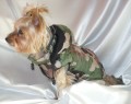 Ręcznie robiona kurtka sportowa www.swiatshihtzu.pl 3.jpg
