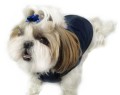 Ręcznie szyta kurtka sportowa granatowa www.swiatshihtzu.pl 1l.jpg